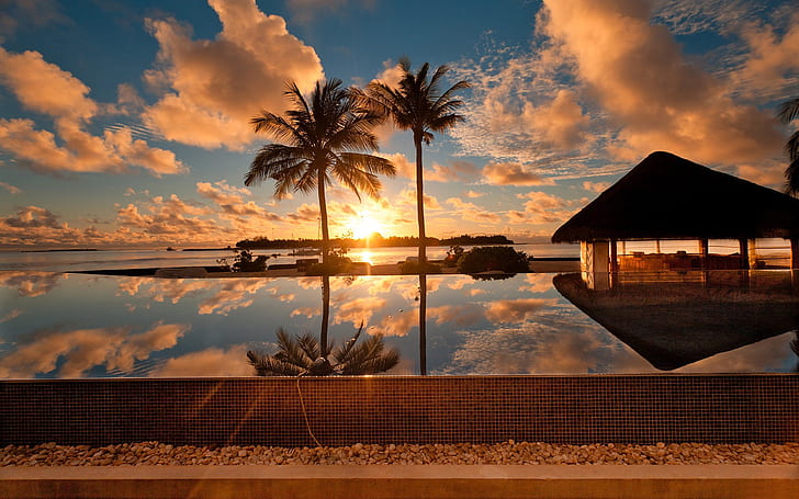Tropical ocean scenery, palm tree, house, dusk