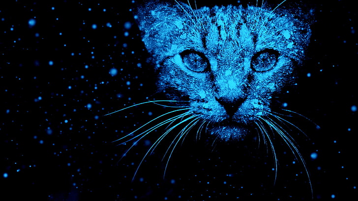 HD wallpaper: Snow, Cat, Neon blue, one animal, animal themes, animal  wildlife | Wallpaper Flare