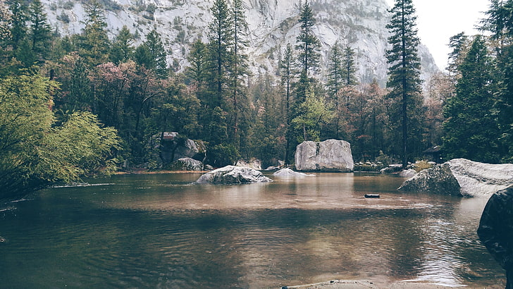 green pine trees, Yosemite National Park, nature, lake, water, HD wallpaper