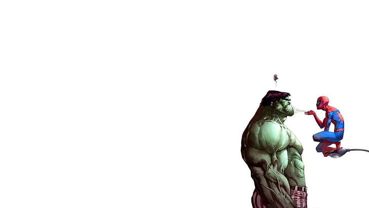 Incredible Hulk and Spider-Man wallpaper, human representation