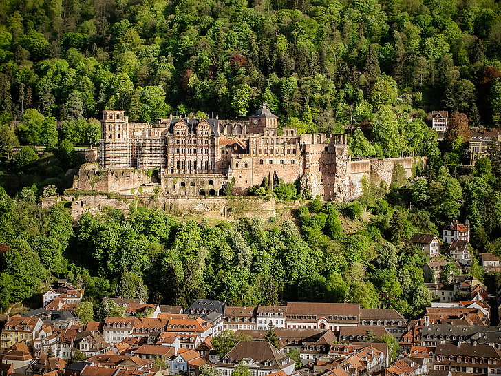 forest, trees, castle, home, Germany, Heidelberg Castle, HD wallpaper