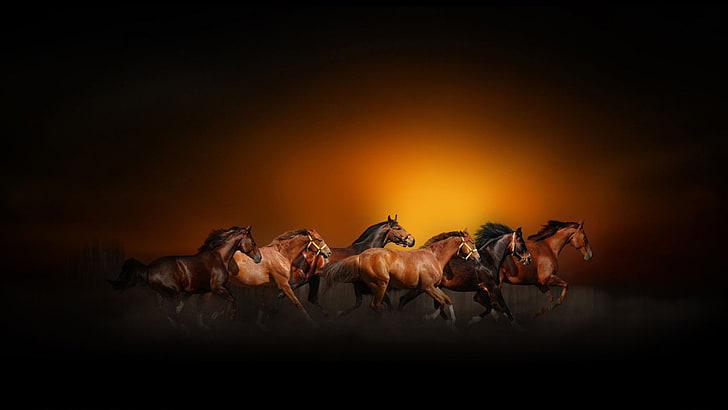 Horse desktop 1080P, 2K, 4K, 5K HD wallpapers free download | Wallpaper  Flare