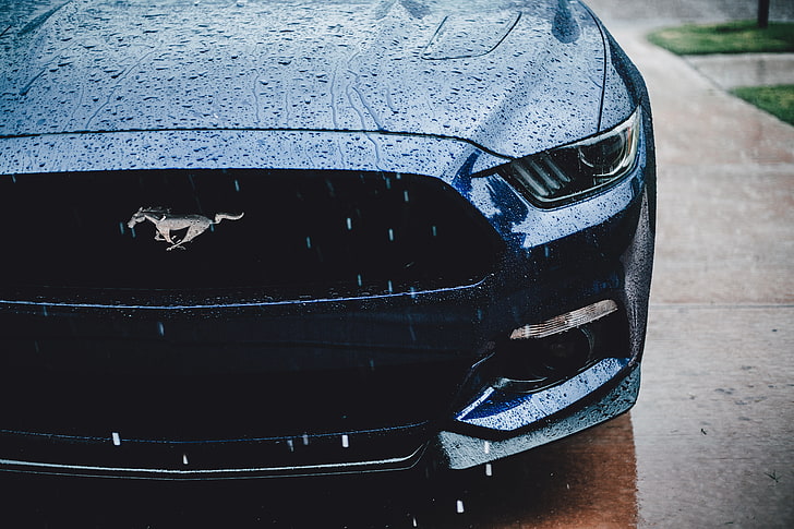 black Ford Mustang, headlight, front view, rain, car, land Vehicle
