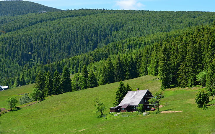 cottage, house, hills, forest, trees, landscape, green color, HD wallpaper