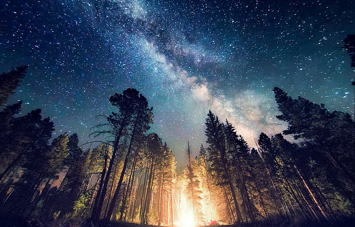 lights, camping, nature, landscape, Milky Way, forest, galaxy, HD wallpaper
