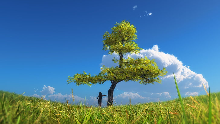 green leafed tree, landscape, trees, sky, clouds, nature, plant, HD wallpaper