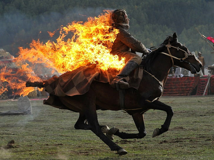 fire, horse, burning, HD wallpaper