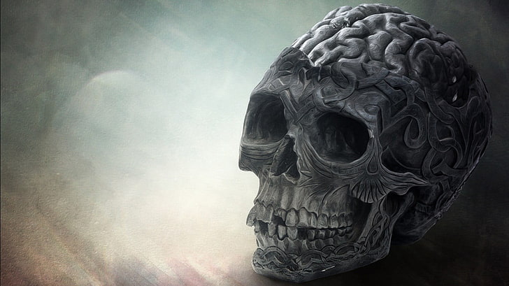 skull illustration, brain, death, art and craft, creativity, representation, HD wallpaper