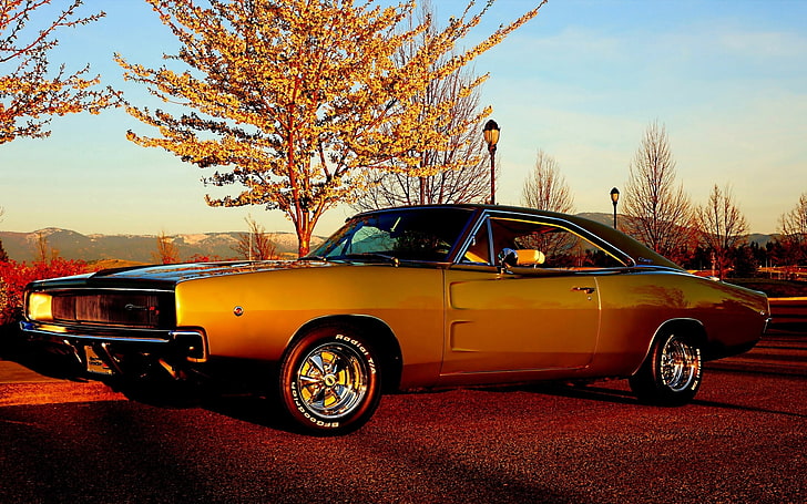 brown convertible coupe, the sky, trees, Dodge, Charger, the front, HD wallpaper