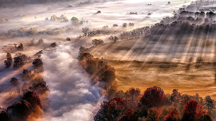 autumn landscape, sun rays, autumn scenery, countryside, fog, HD wallpaper