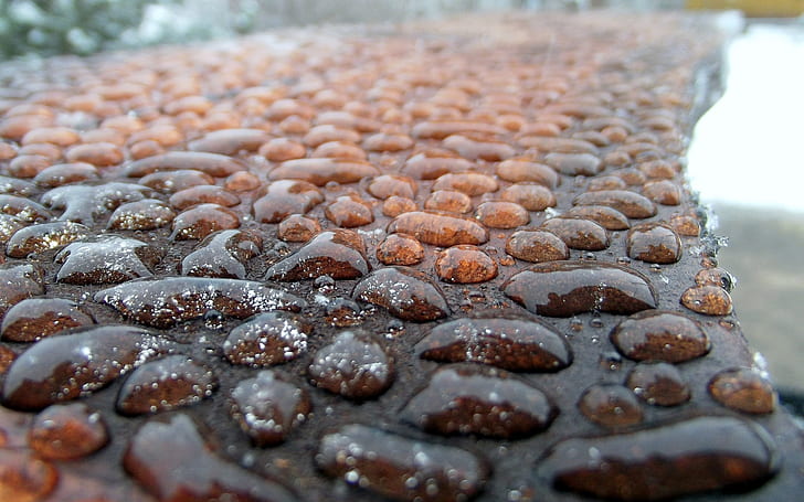 Rain Water Droplets, drops, HD wallpaper