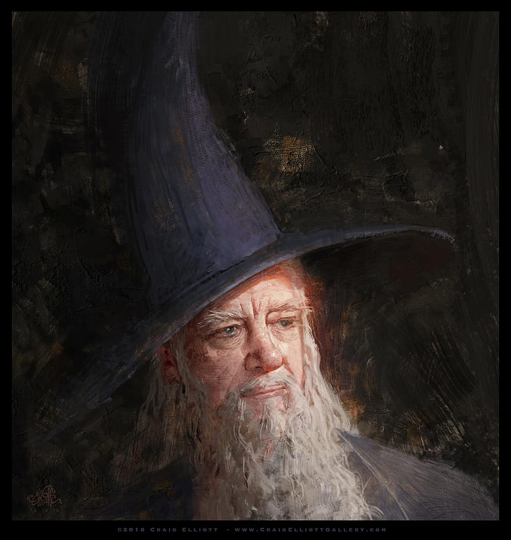 Gandalf, wizard, portrait, The Lord of the Rings, The Hobbit