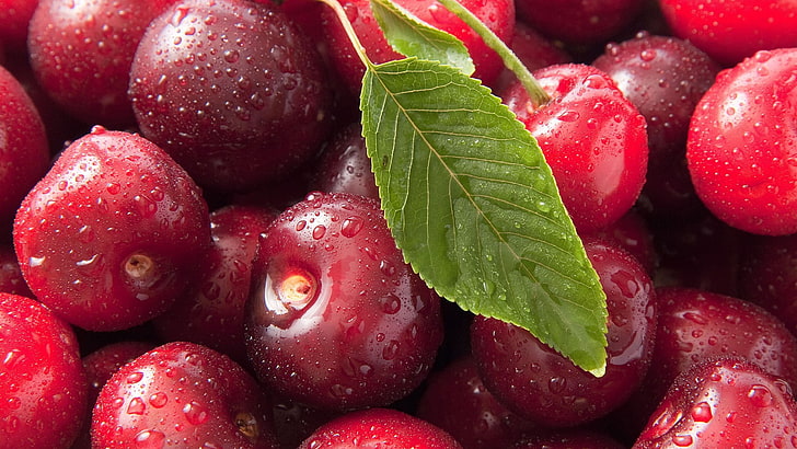 cherry, berry, fruit, food, sweet, delicious, juicy, fresh, HD wallpaper