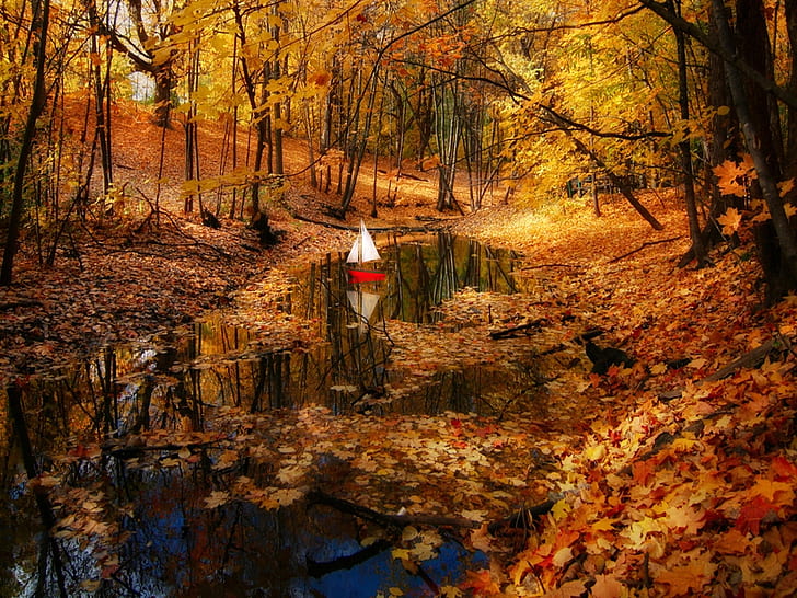 autumn beautiful beauty boat colors fall forest golden leaves lovely nature peaceful Pretty Reflecti HD, HD wallpaper