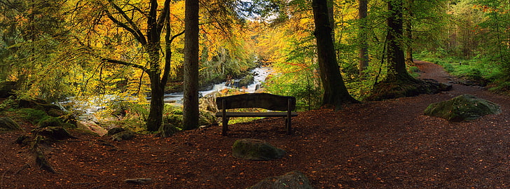 Bench, Forest, Autumn, Seasons, Travel, Nature, Beautiful, Landscape, HD wallpaper