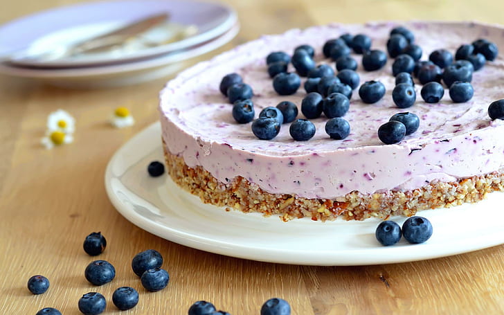 Blueberry cake, cake with blueberries on top, photography, 2560x1600