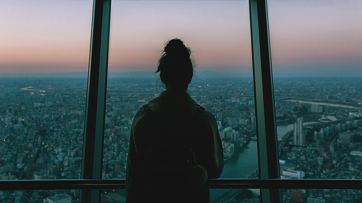 silhouette of person on building, girl, window, view, cityscape