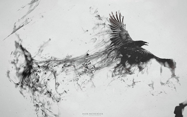 raven digital wallpaper, eagle painting, crow, ink, animals, birds