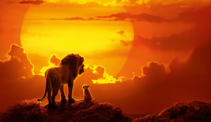 Movie, The Lion King (2019), Baby Animal, Mufasa (The Lion King), HD wallpaper