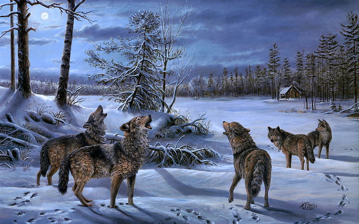 wolf, animals, artwork, winter, trees, fantasy art, night