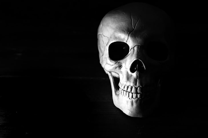 white and black skull mask, HD wallpaper