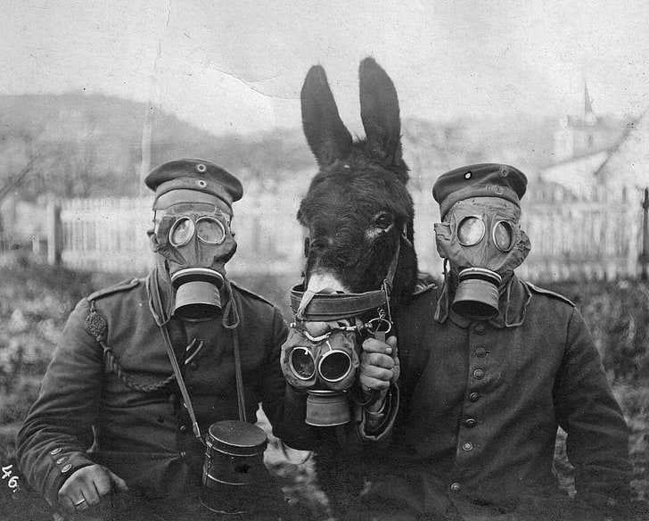gas masks, World War I, monochrome, soldier, mammal, domestic animals