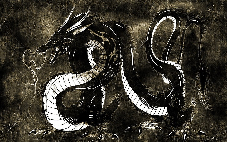 black and white dragon artwork, fantasy art, representation, creativity, HD wallpaper