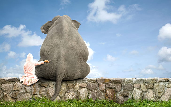 Me and my Friend, elephant, HD wallpaper