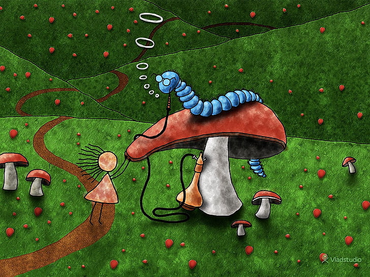 Vladstudio, mushroom, Alice in Wonderland, green color, representation, HD wallpaper