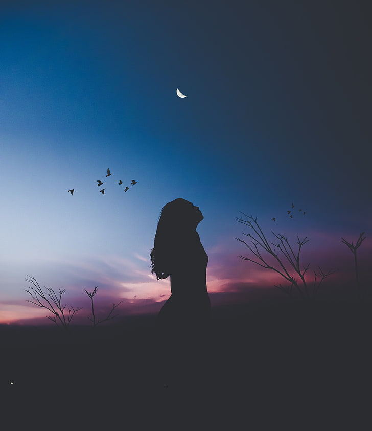 silhouette of woman, girl, moon, birds, night, harmony, loneliness