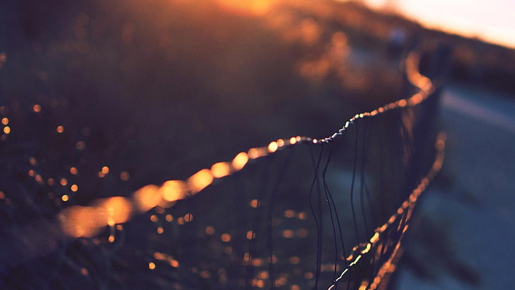 selective focus photography of gray metal chain link fence, sunlight