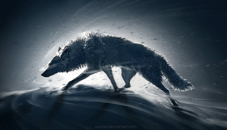 gray wolf illustration, animals, one animal, animal themes, mammal, HD wallpaper