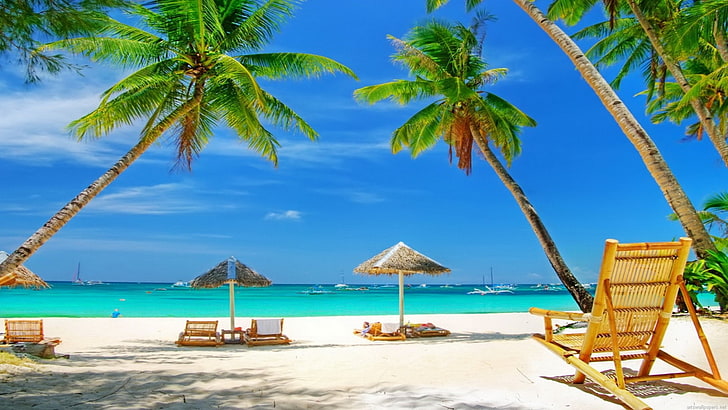 HD wallpaper: Tropical Beach Paradise-HD Desktop Wallpaper, palm tree,  tropical climate | Wallpaper Flare
