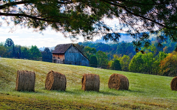 brown hay on field, photography, nature, landscape, barn, fence