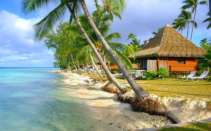 nature, landscape, tropical, beach, sea, island, palm trees, HD wallpaper