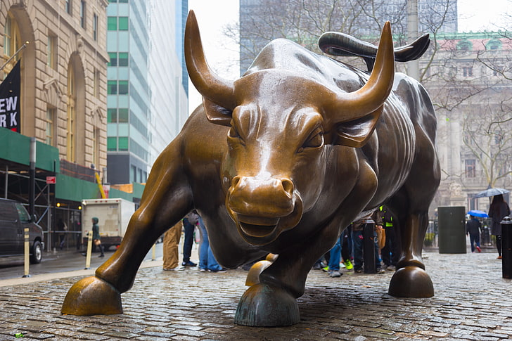New York City, Wall Street Bull, 4K, Manhattan, Bowling Green Bull, HD wallpaper