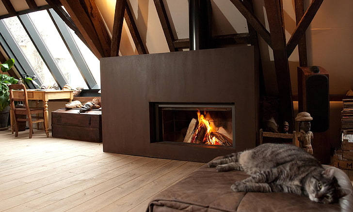 brown fireplace and short-haired gray cat, design, house, style