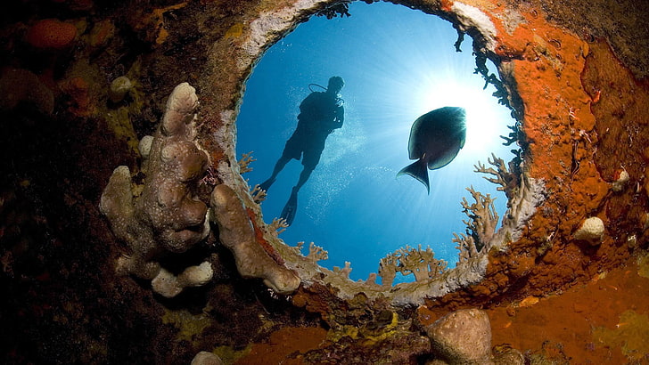 nature, underwater, fisheye lens, divers, coral, sunlight, undersea