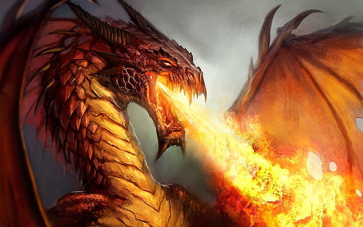 brown dragon illustration, fantasy art, fire, artwork, scales, HD wallpaper
