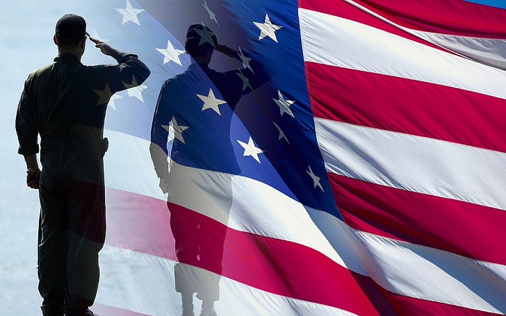 USA, Flag, Veterans Day, Star, Military, HD wallpaper