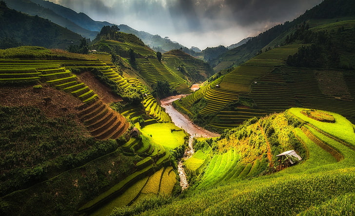 rice terraces, nature, terraced field, clouds, scenics - nature, HD wallpaper