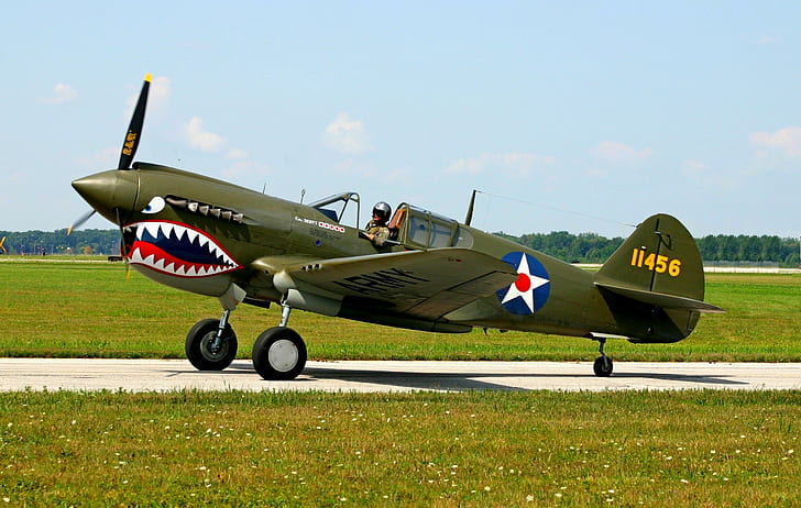 P-40 Warhawk, wwii, aircraft planes, HD wallpaper