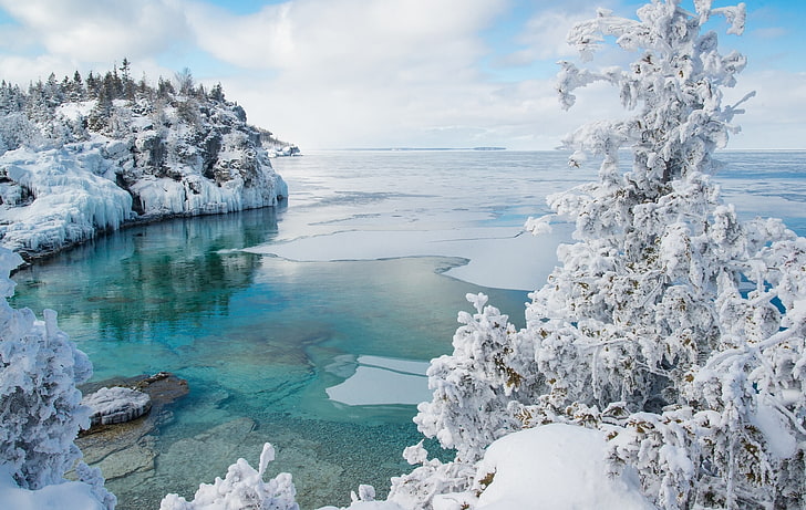 winter, snow, tree, ice, Canada, Bay, Ontario, Bruce Peninsula National Park, HD wallpaper