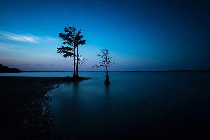 landscape, lake, blue, night, trees, calm, calm waters, sky, HD wallpaper