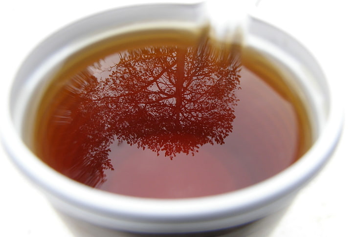 white cup, macro, tea, drink, trees, reflection, tea - Hot Drink