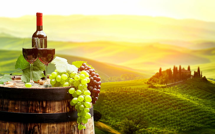 Food, Wine, Barrel, Fruit, Glass, Grapes, Landscape, Vineyard, HD wallpaper