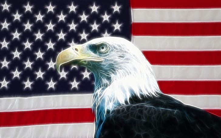 Hd Wallpaper American Eagle Sua Animals Flag Wallpaper Flare