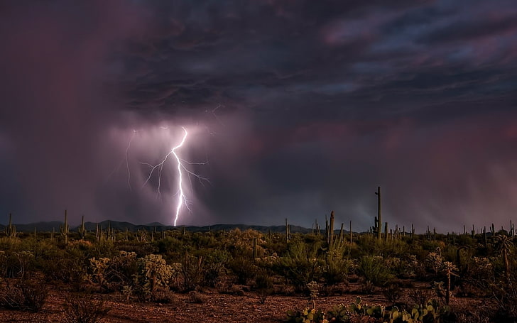 Lightning, Category, Desert, Elements, Cactuses, storm, power in nature