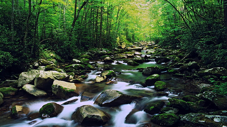 Mountain River Rocky Riverbed Stones Green Moss Forest With Green Trees Wallpaper For Desktop 1920×1080, HD wallpaper