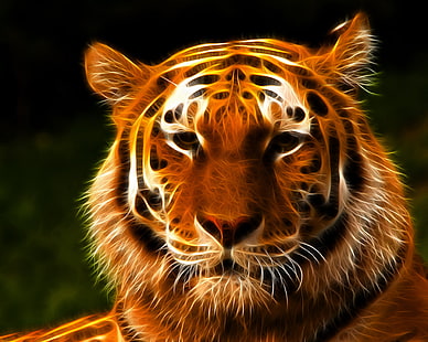 HD wallpaper: tiger wallpaper, look, face, 3D graphics, animal, wildlife,  nature | Wallpaper Flare